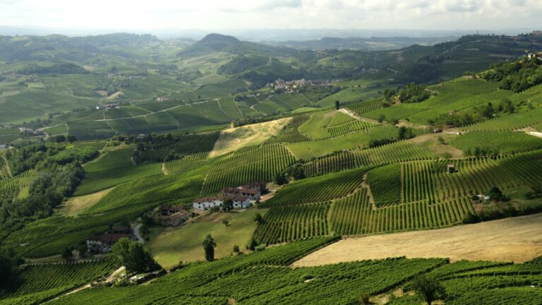 I Vini pregiati dell’Alto Piemonte