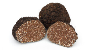 tartufo-nero-pregiato