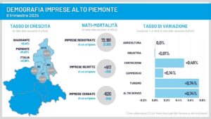 Infografica imprese IItrim 2025