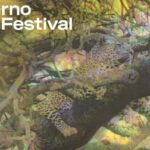 Locarno Film Festival 2025