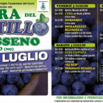 A Fosseno (NO) torna la Sagra del Mirtillo: tre giorni tra gusto, musica e natura