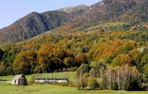 Il Treno del Foliage 2026, viaggiare tra i colori dell’autunno in Piemonte e Svizzera